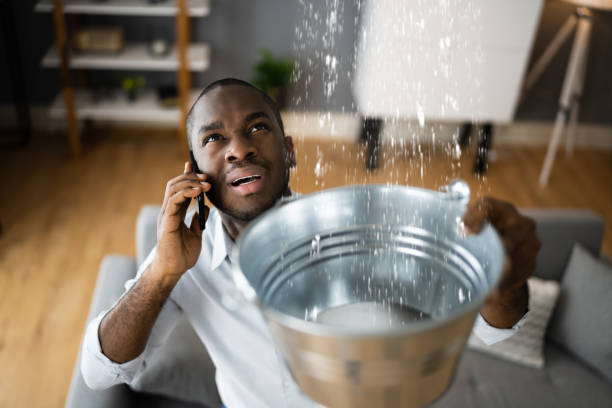 Best Ceiling water damage repair  in Factoryville, PA