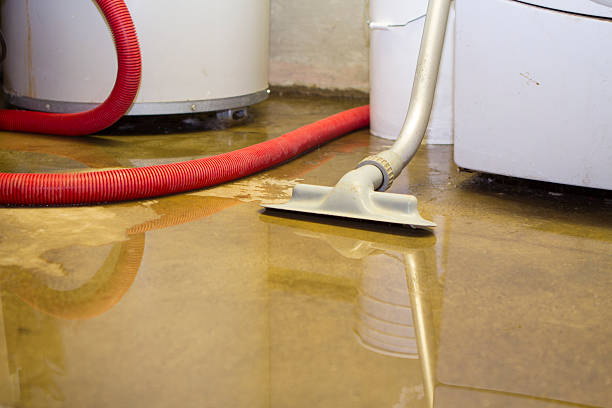 Best Basement water damage restoration  in Factoryville, PA