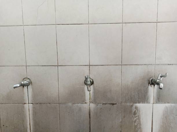 Best Fire Damage Restoration  in Factoryville, PA